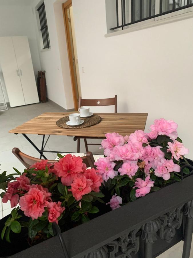 Casa Vigon Διαμέρισμα Sanlúcar de Barrameda Εξωτερικό φωτογραφία